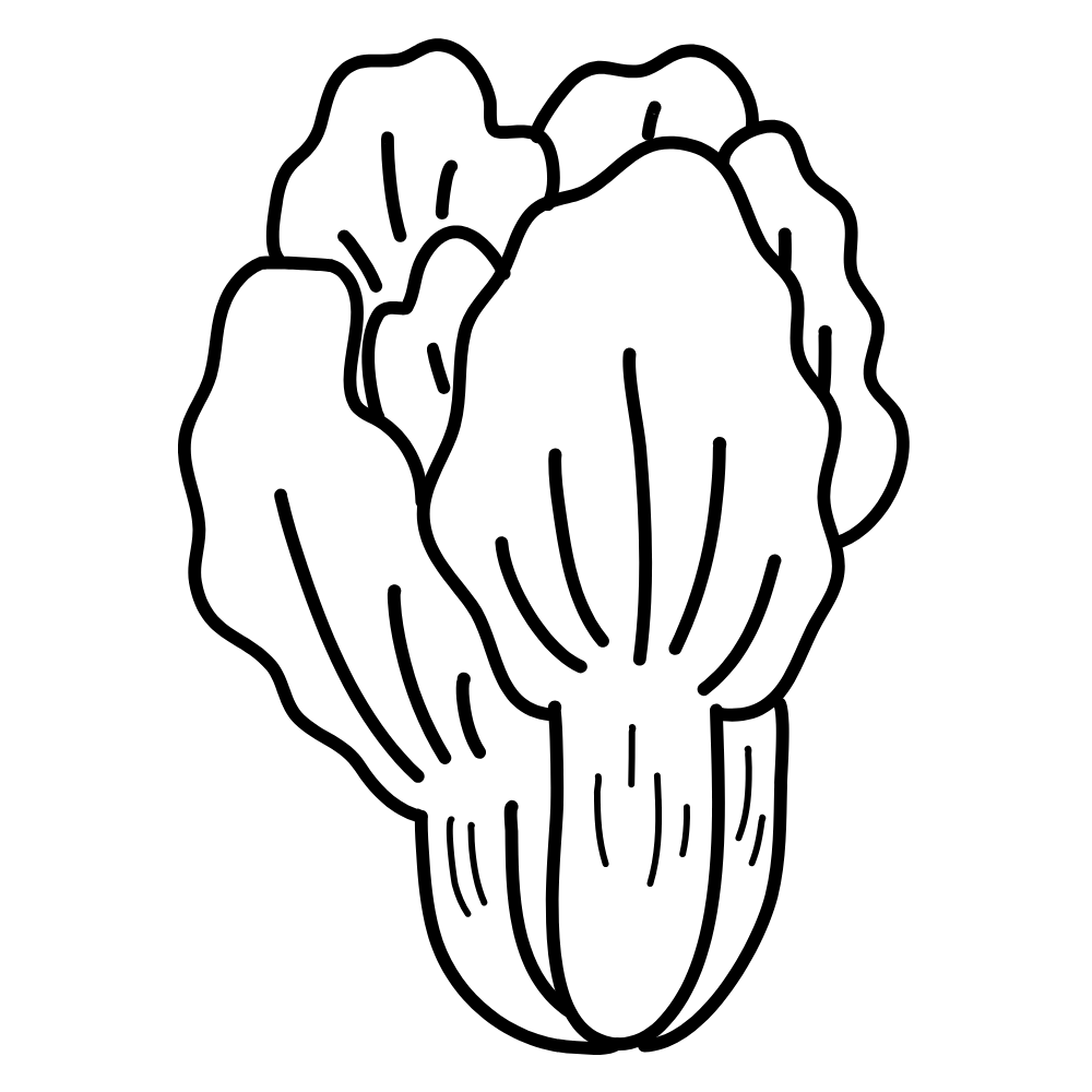 Veggie Coloring Dry Erase Magnets