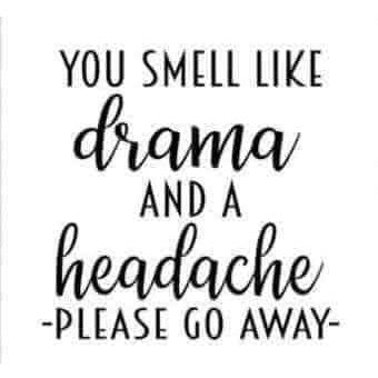 You Smell Like Drama and a Headache 2x2 Magnet
