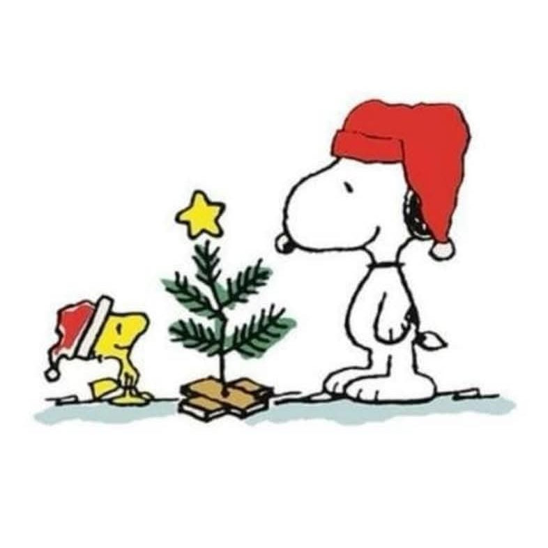 2x2 Peanuts Cartoon Character Magnets