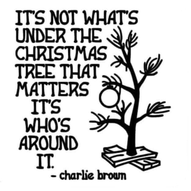 2x2 Peanuts Cartoon Character Magnets