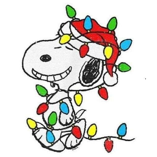 2x2 Peanuts Cartoon Character Magnets