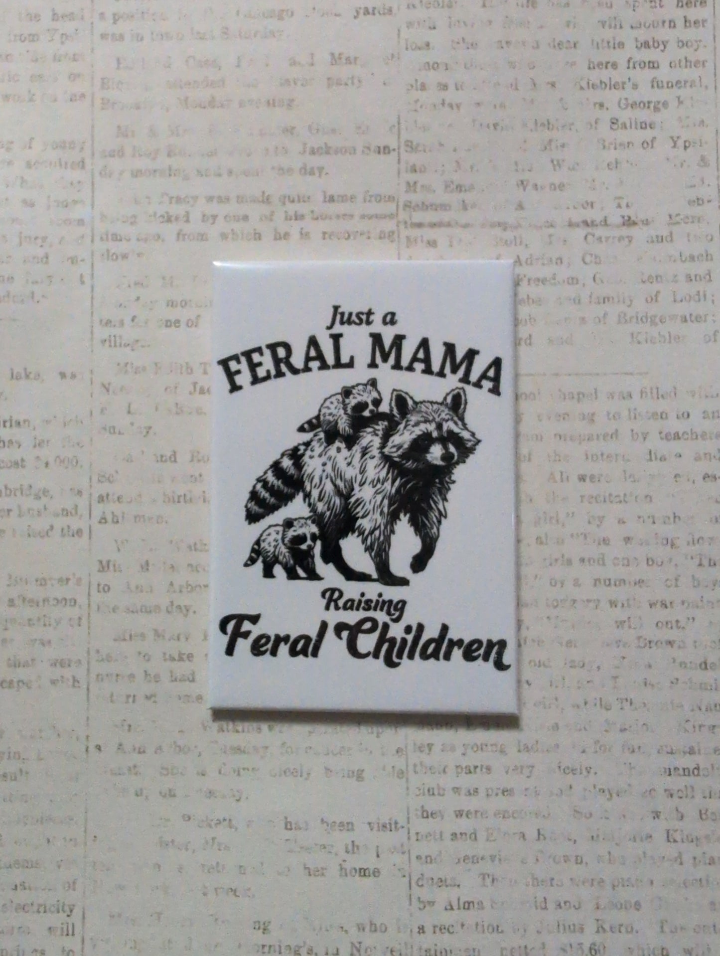 Just a Feral Mama Raising Feral Children 2x3 Magnet