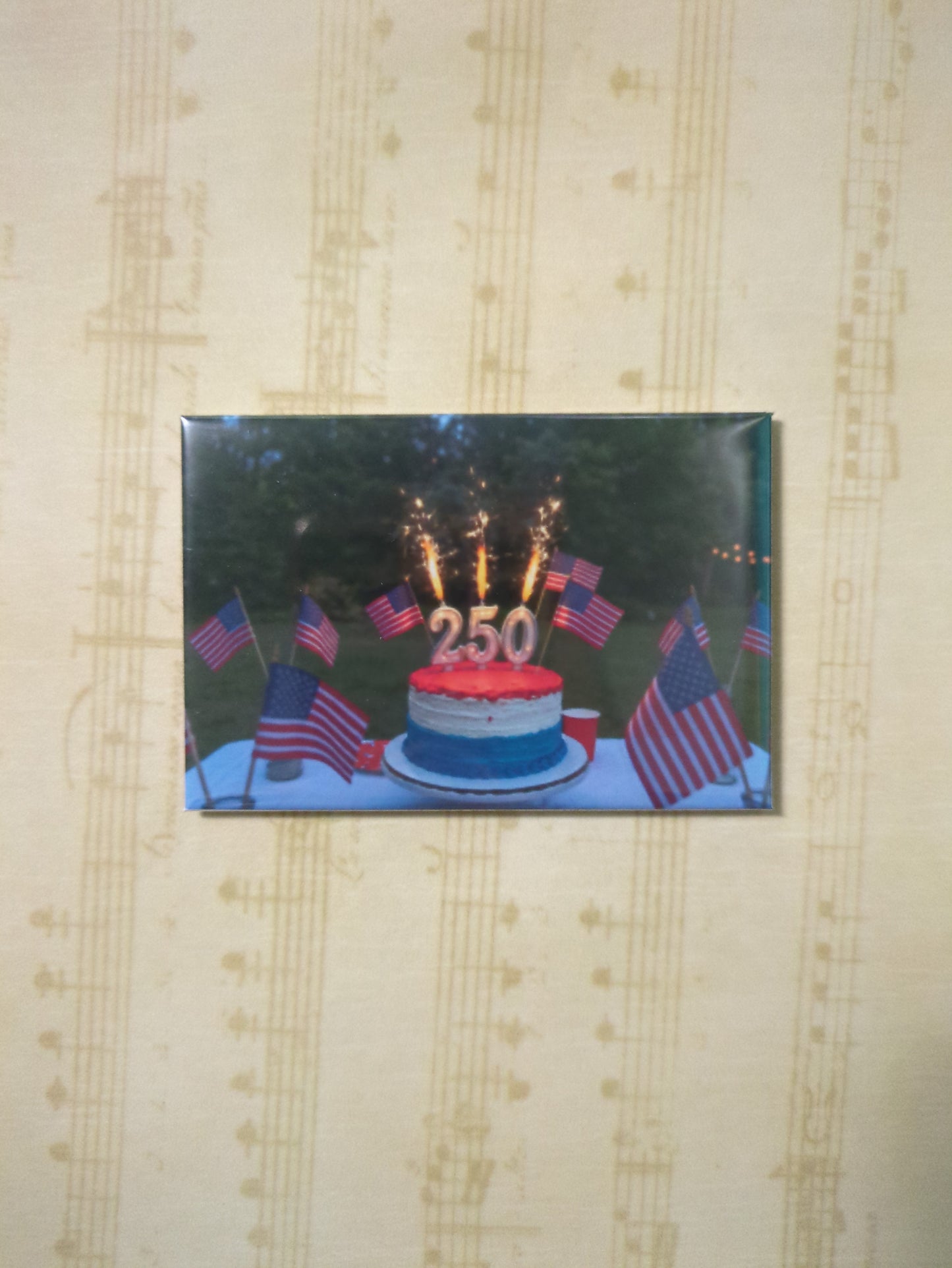 America's 250th Birthday Cake 2x3 Magnet